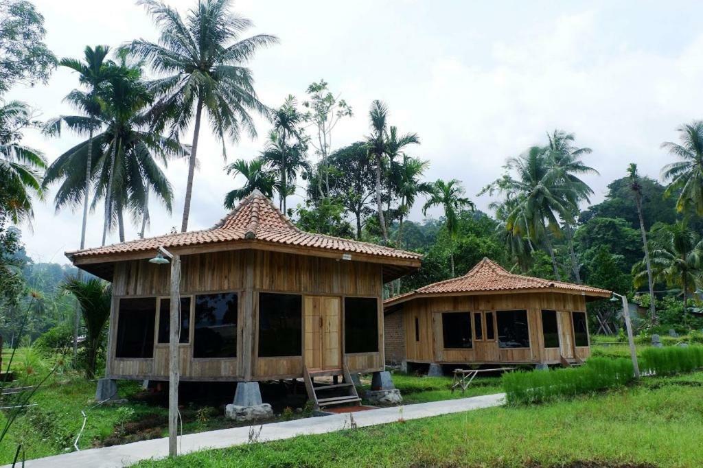 Revive Lampung Krui King Resort מראה חיצוני תמונה